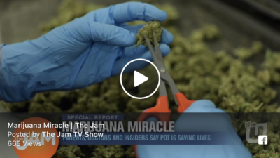 Marijuana Miracle