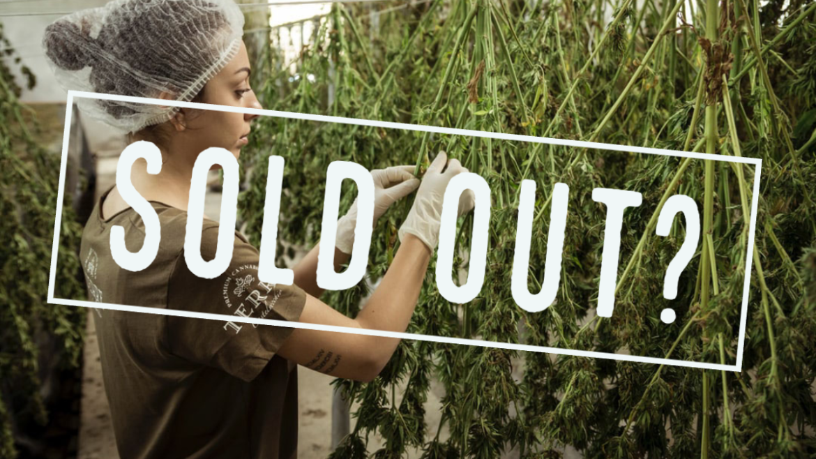 Cannabis Shortages